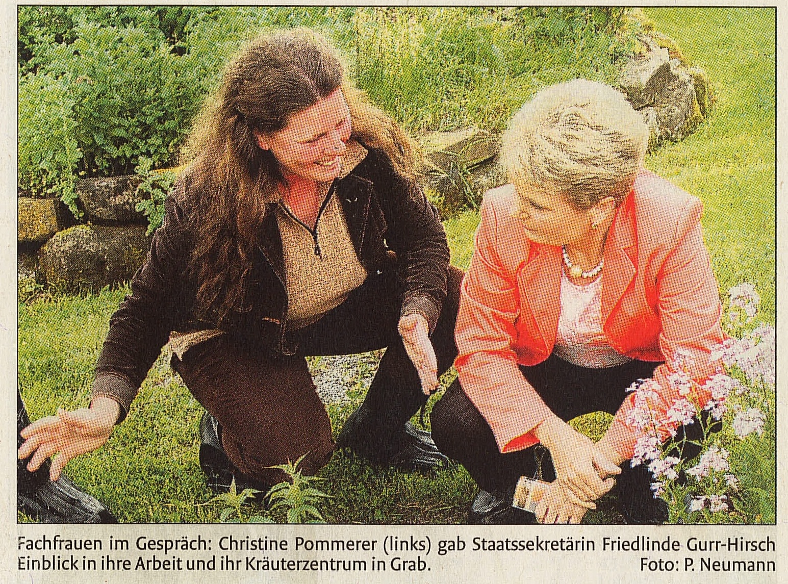Vorschaubild Backnanger Zeitung, 29. Mai 2009
